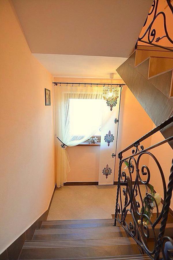 Willa Tatra House زاكوباني المظهر الخارجي الصورة
